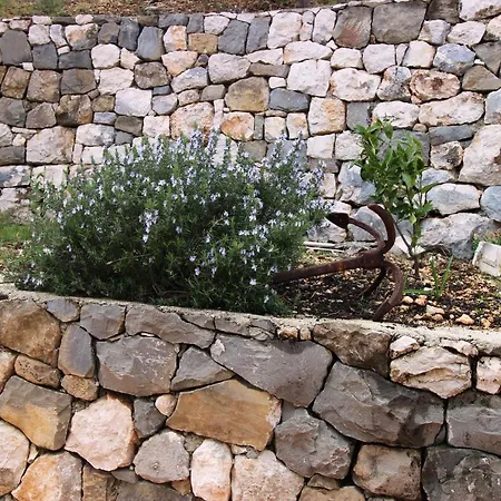 Apartament Beachfront Deluxe Podgora (Split-Dalmatia)