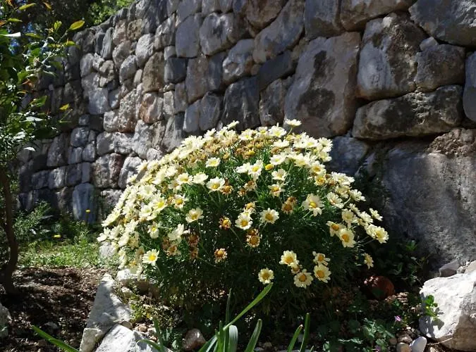 Beachfront Deluxe Appartamento *