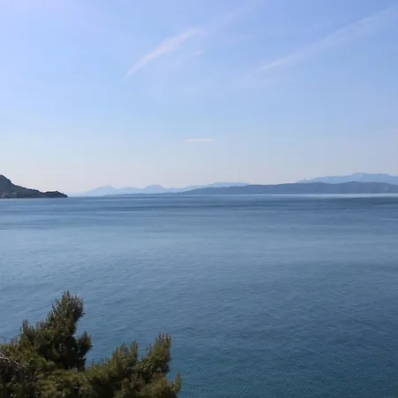 Beachfront Deluxe 公寓