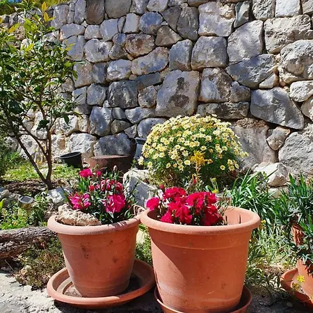 Apartment Beachfront Deluxe Podgora